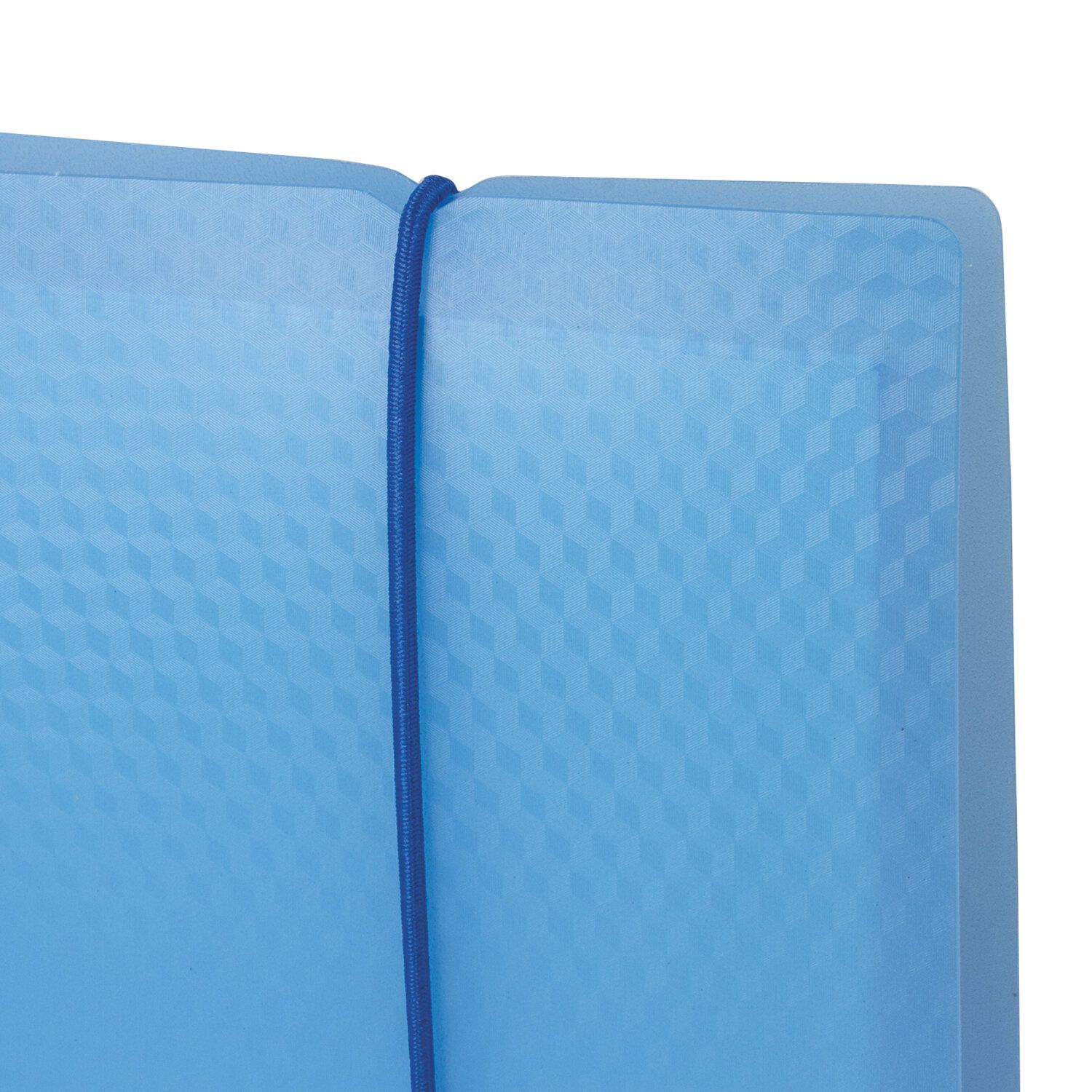 Тетрадь на кольцах А5 (175х220 мм),403567 120 л., пластиковая обложка, клетка, с фиксирующей резинкой, BRAUBERG, синяя, 403567