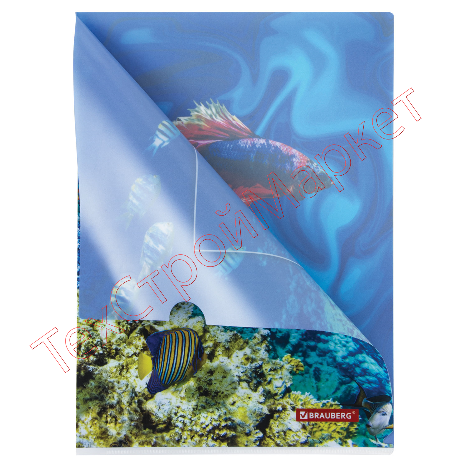 Папка-уголок BRAUBERG "SEA WORLD", А4, 150 мкм, цветная печать, 228042