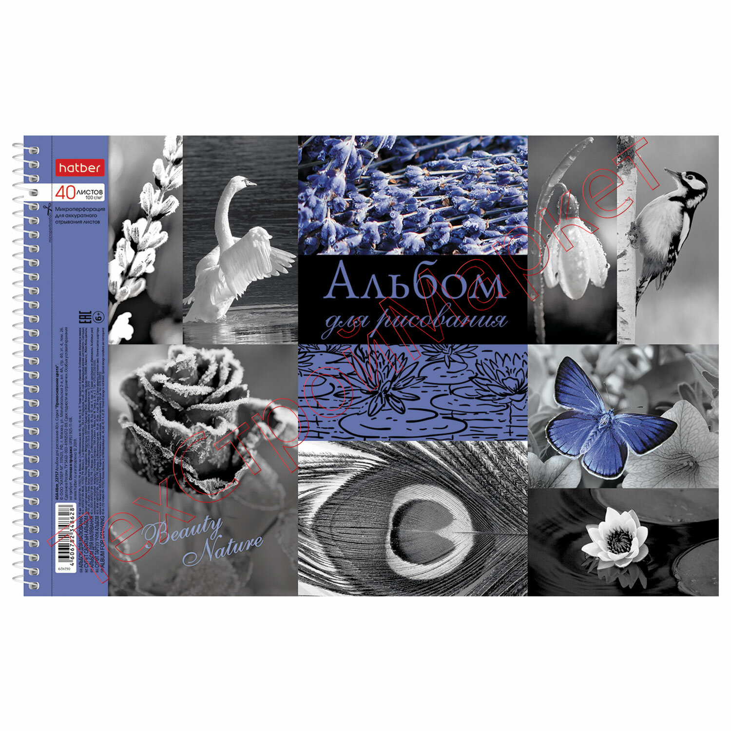 Альбом для рисования А4 40 л;, спираль, тиснение, HATBER, 205х300 мм, "Прикосновение цвета", 40А4Всп