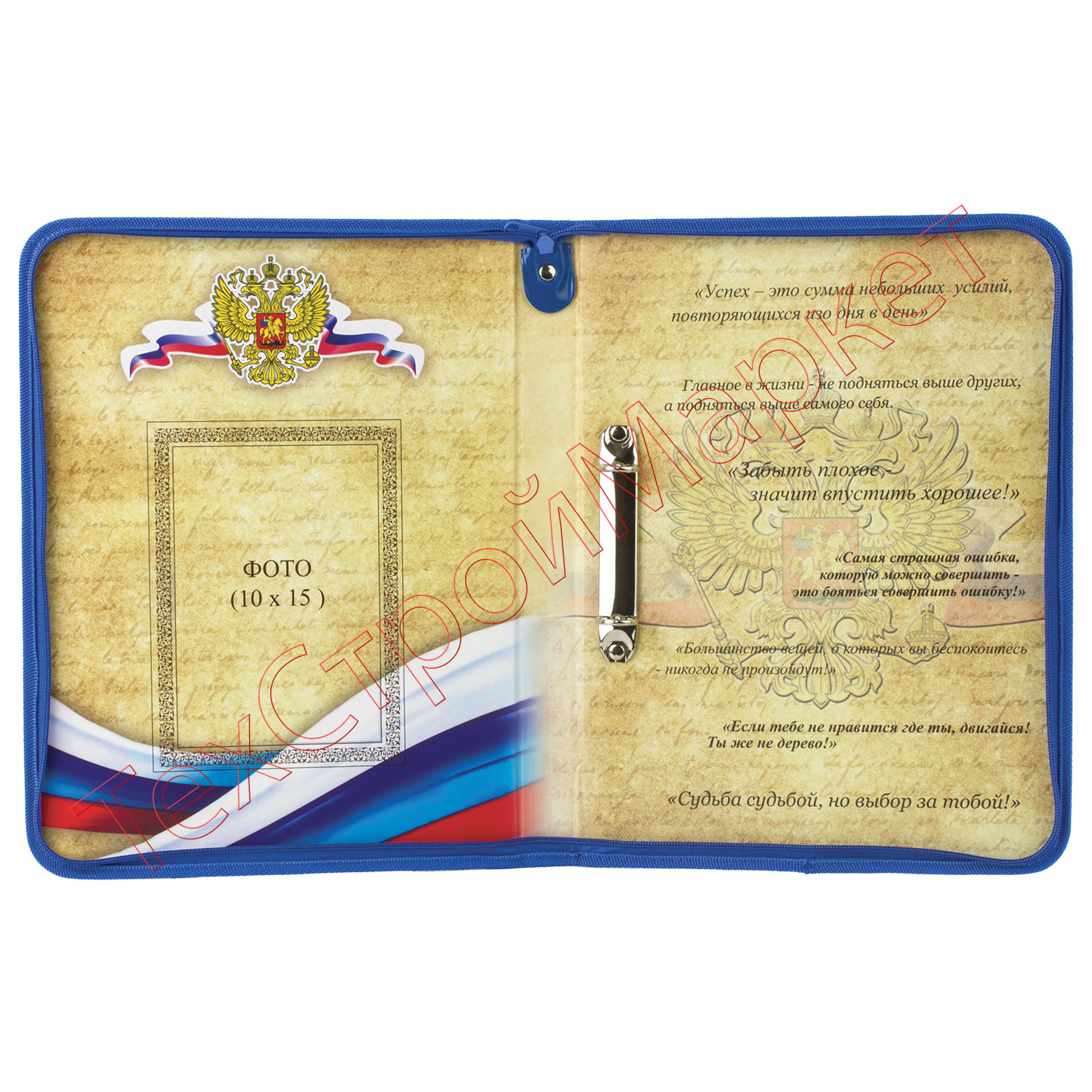 Папка-портфолио дошкольника ПЧЕЛКА, 8 вкладышей, на молнии, универсальная, ламинированный картон, с рисунком, ПТШ-1-3