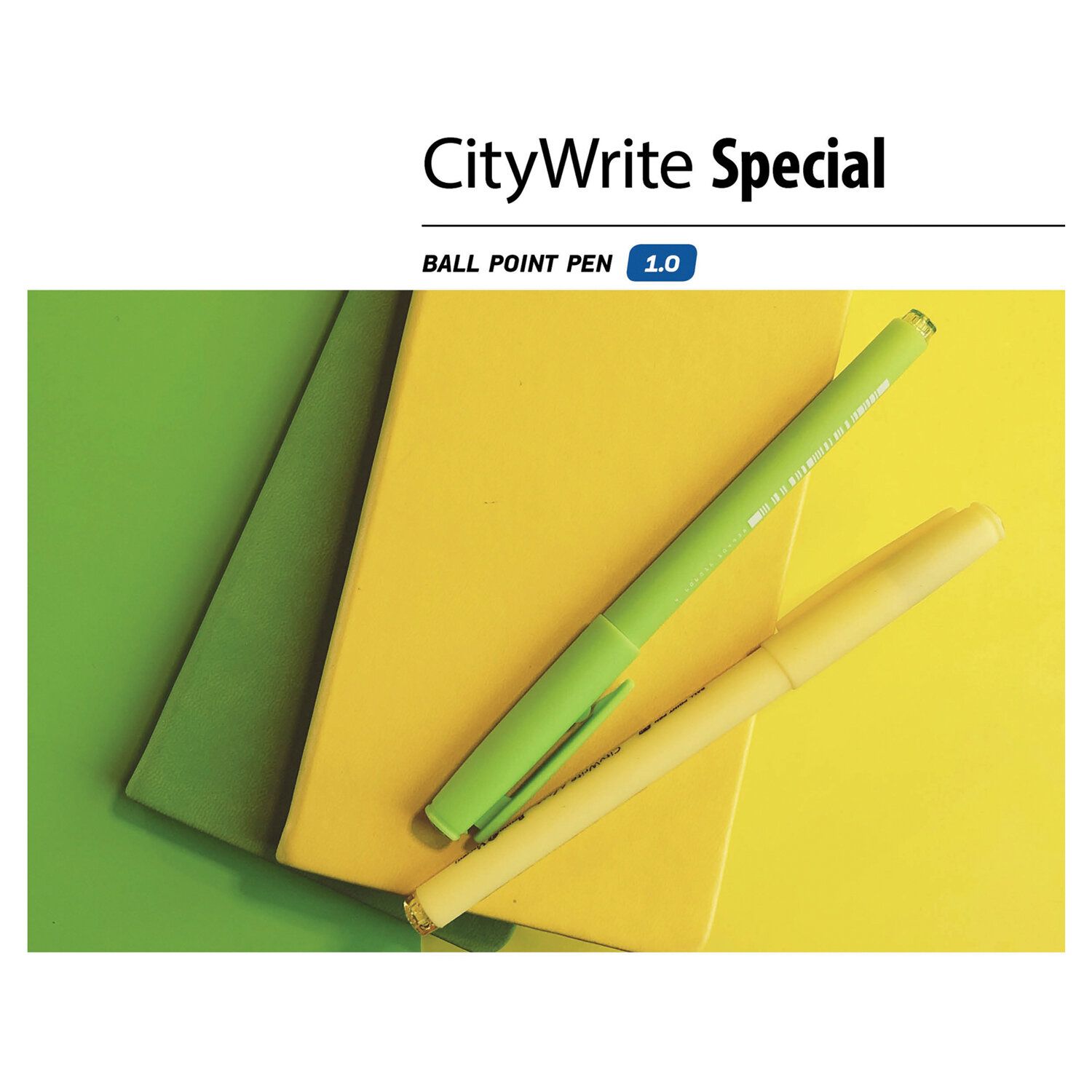 Ручка шариковая масляная BRUNO VISCONTI CityWrite, СИНЯЯ, Special, узел 1 мм, линия письма 0,7 мм, 20-0024