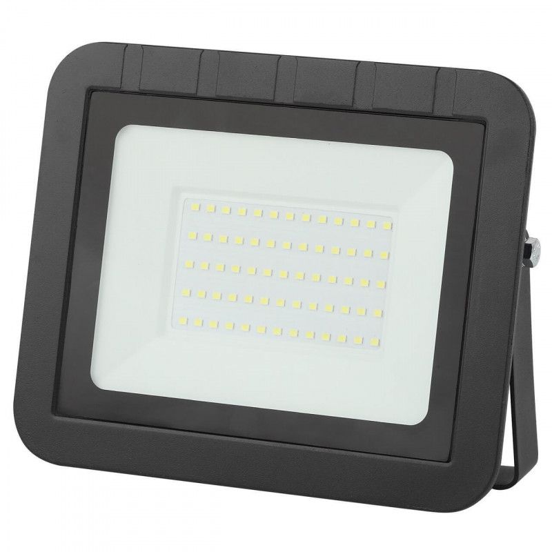 Прожектор светодиодный ERA LPR-061-0-65K-030 PRO