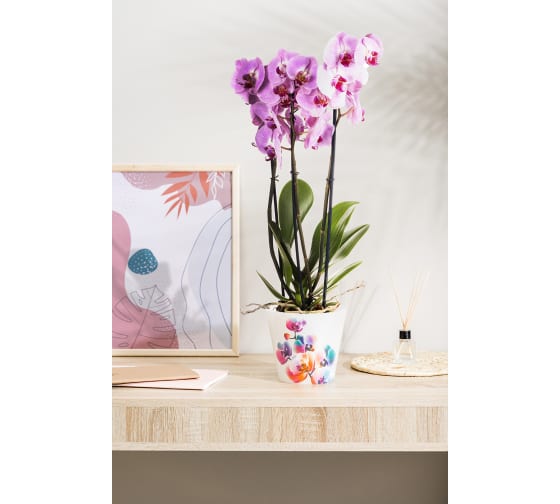 Горшок для орхидей D160мм, 1,6л с дренажной вставкой с декором (белый перламутр)