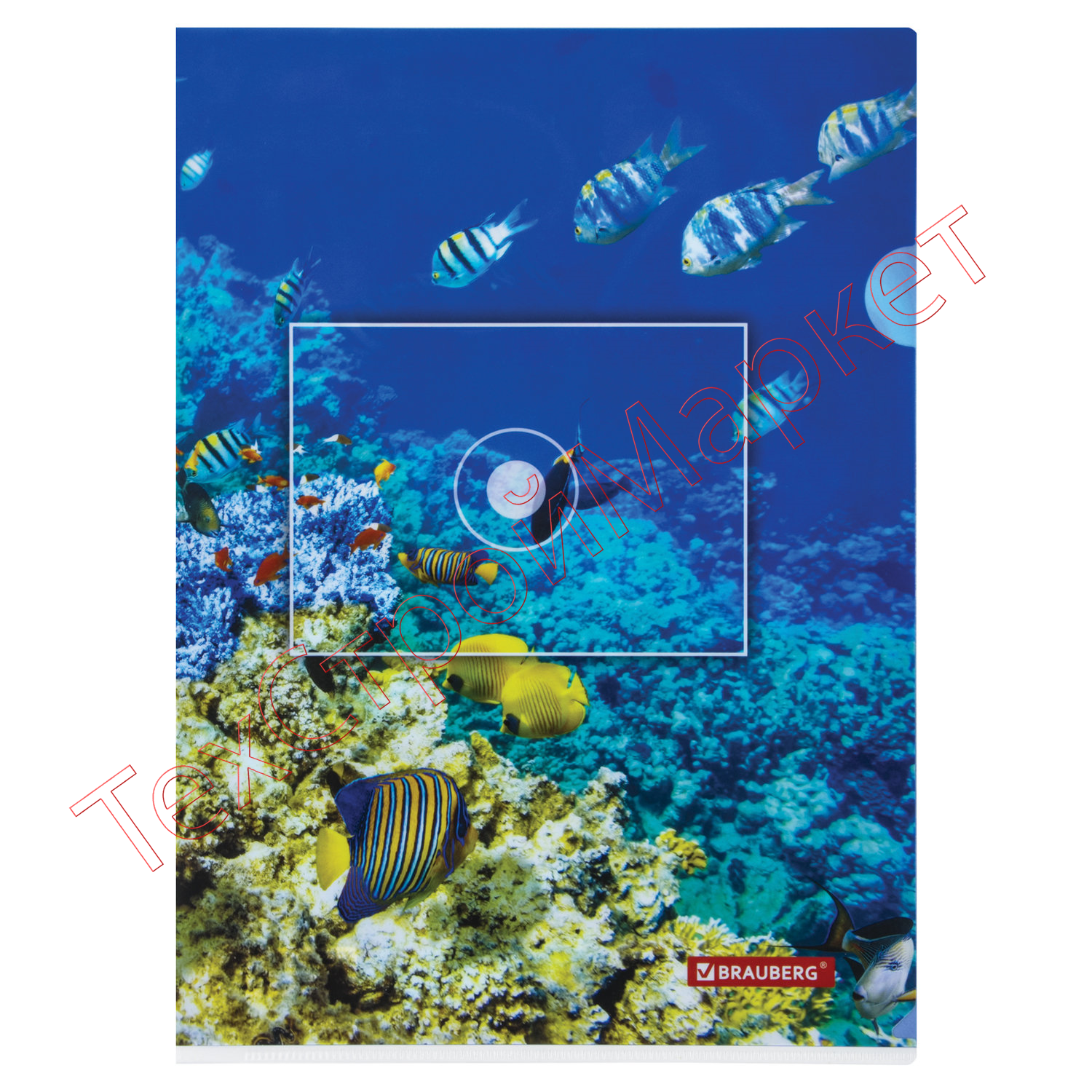 Папка-уголок BRAUBERG "SEA WORLD", А4, 150 мкм, цветная печать, 228042