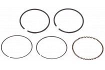 Кольца 169 FMM (CB250) d=69