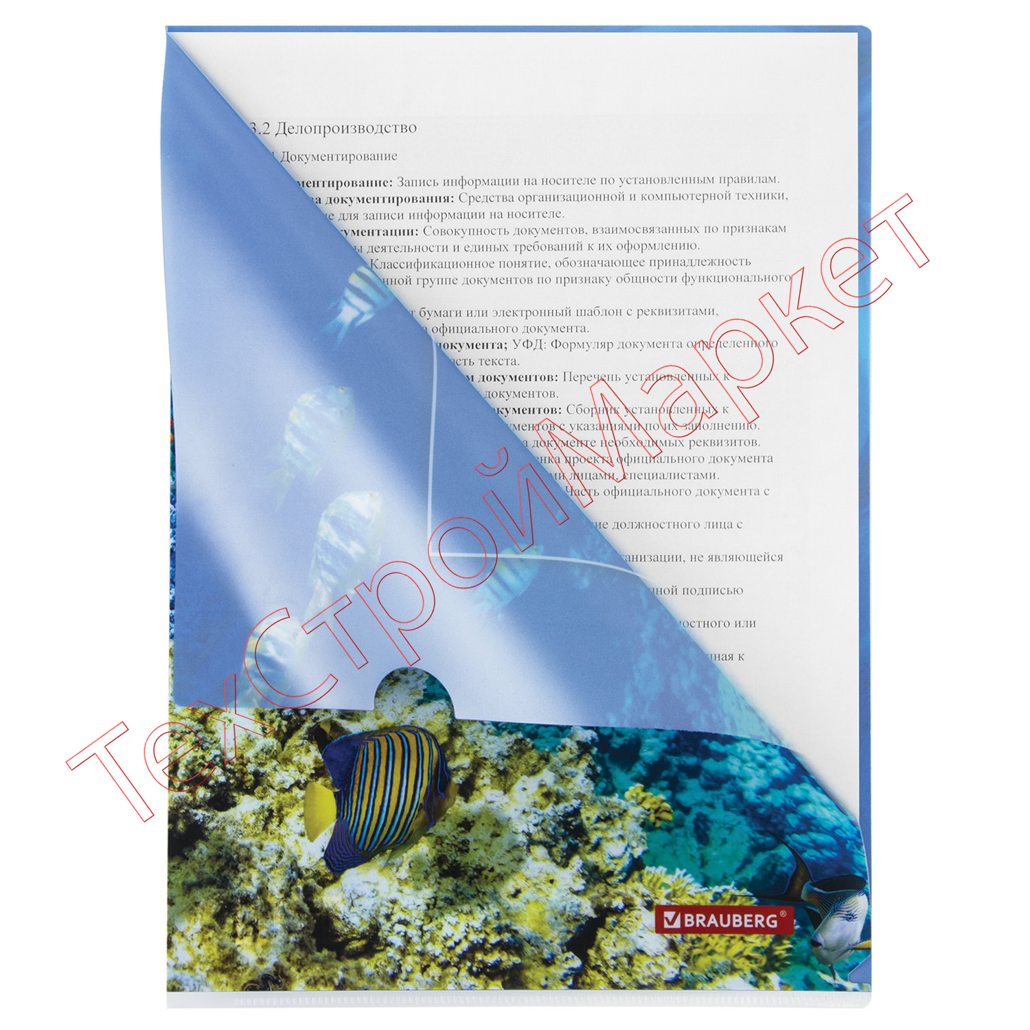 Папка-уголок BRAUBERG "SEA WORLD", А4, 150 мкм, цветная печать, 228042
