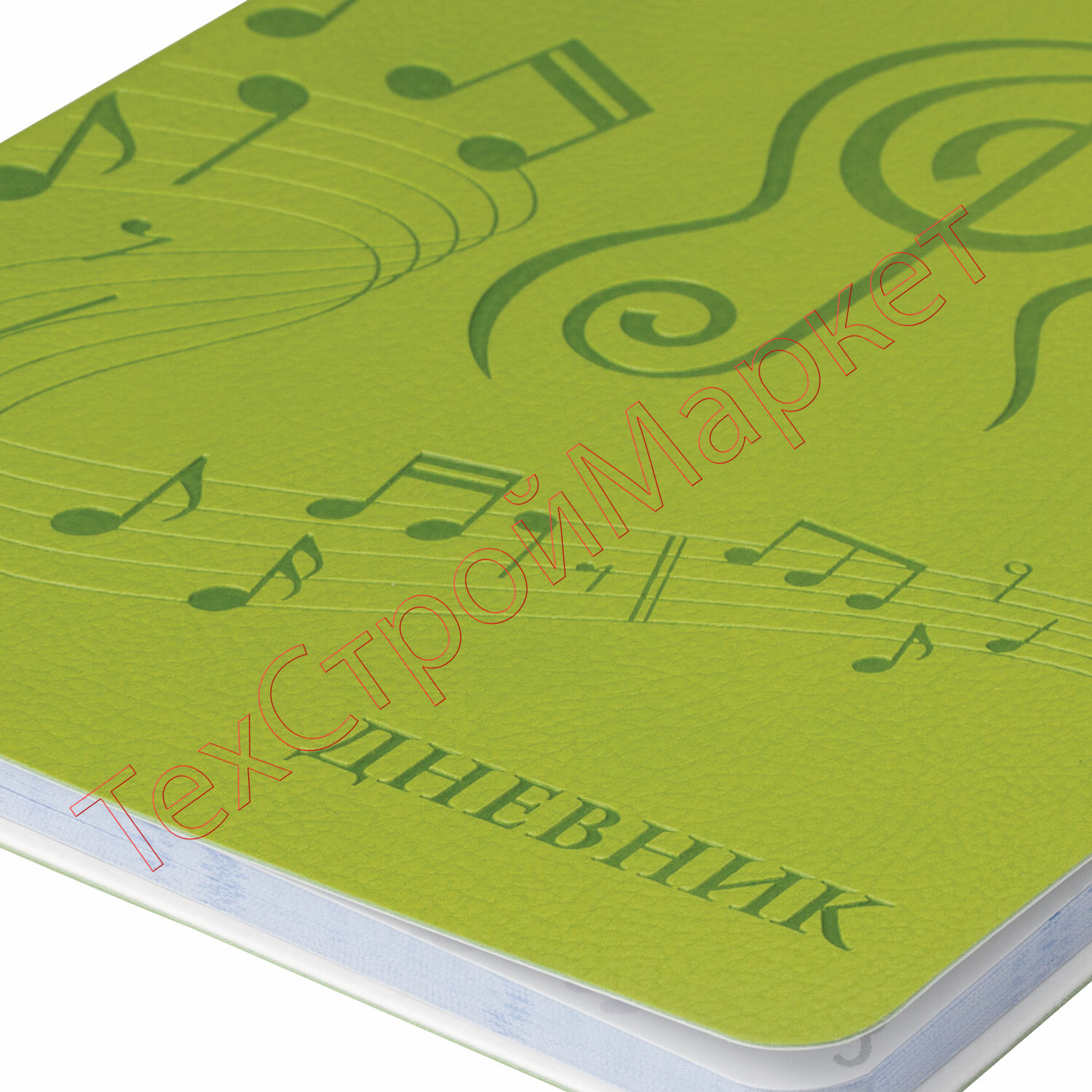 Дневник для музыкальной школы 48 л., обложка кожзам гибкая, термотиснение, BRAUBERG, зеленый, 105496
