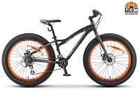 Fat bike