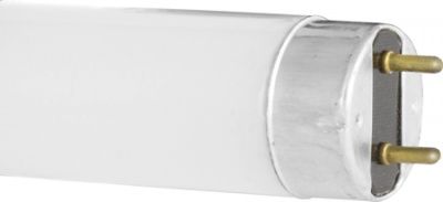 Лампа люминесцентная Camelion T8 10Вт 4200К G13